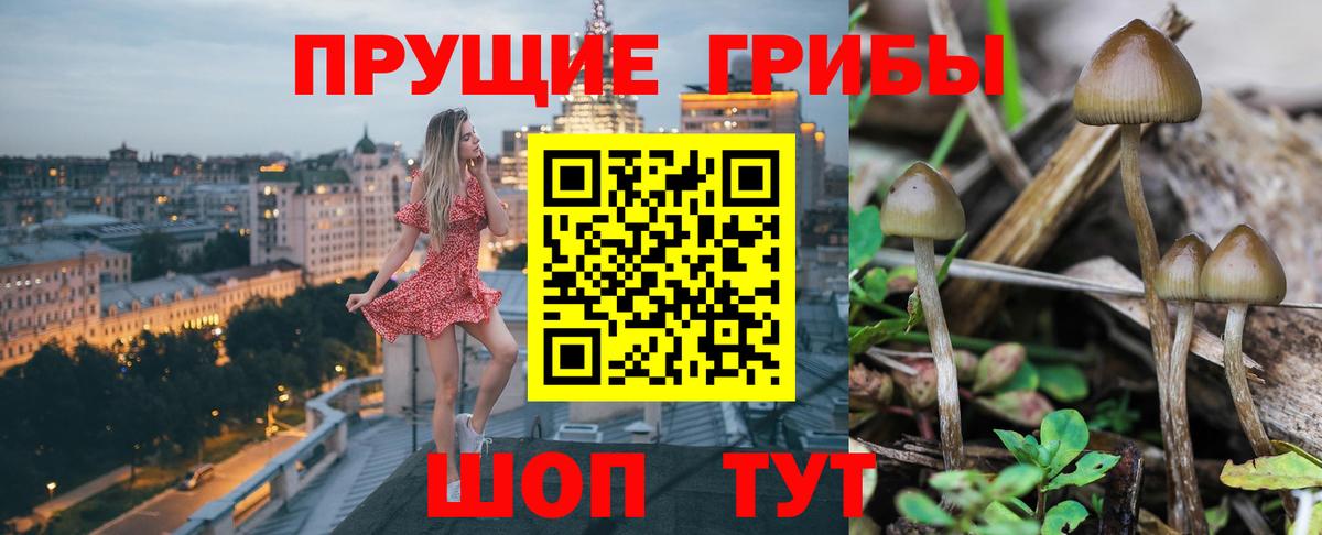 Псилоцибиновые грибы мухоморы Дзержинск